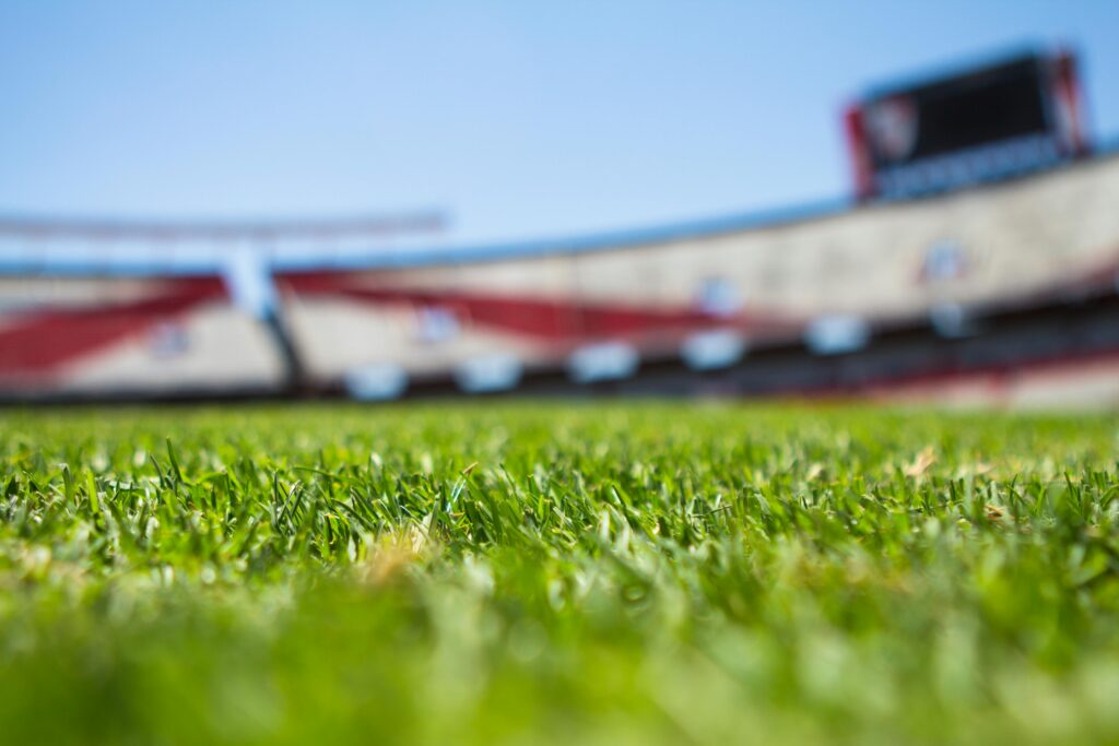 Close-up of grass with a blurred stadium background under a clear sky.